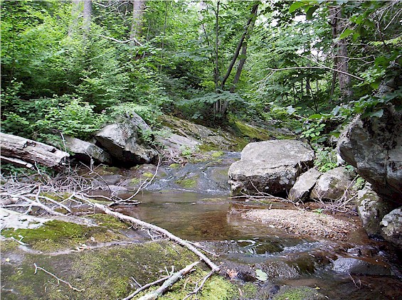 White Oak Canyon Run