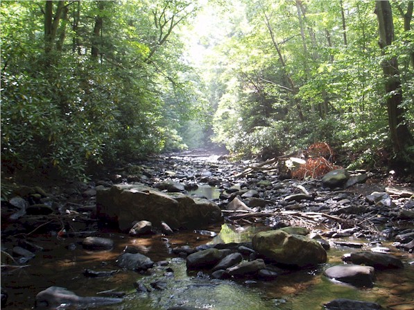 A very low Dunbar Creek.