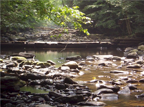 Typical Dunbar Creek weir pool.