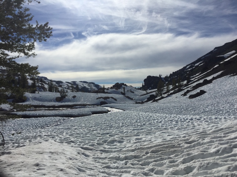 Snow Cups At Lunch Meadow