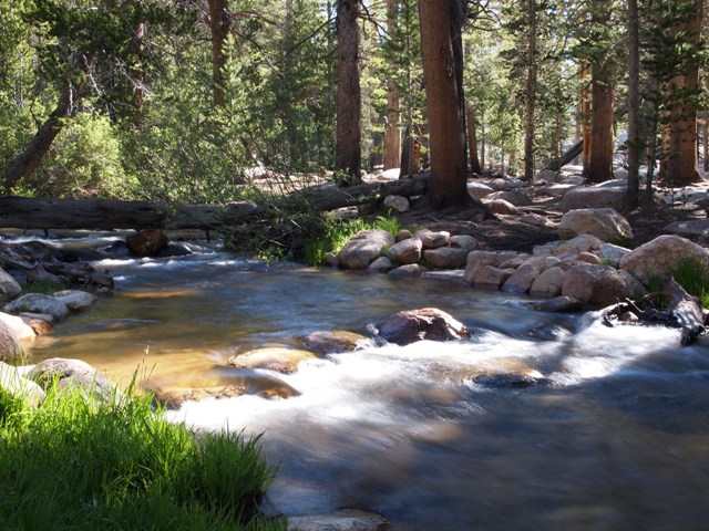 Cottonwood Creek