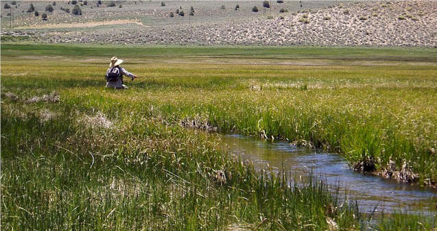 Bernard fishing the creek.