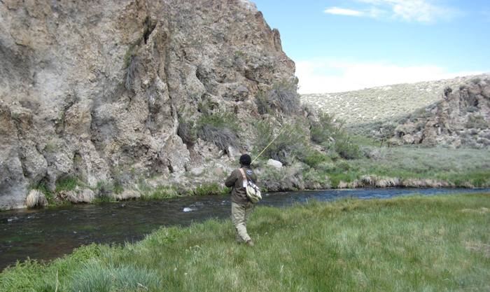 Fishing a rewarding fish. Photo by E. Peterson