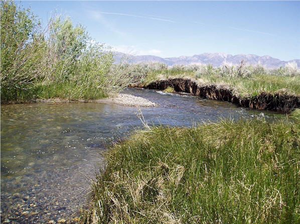 Not the Owens, little Convict Creek.