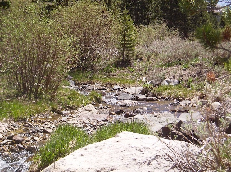 "Grayling Creek"