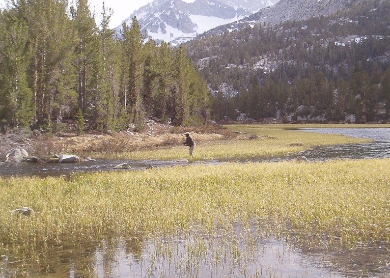 Fishing the outlet at Marsh Lake. 