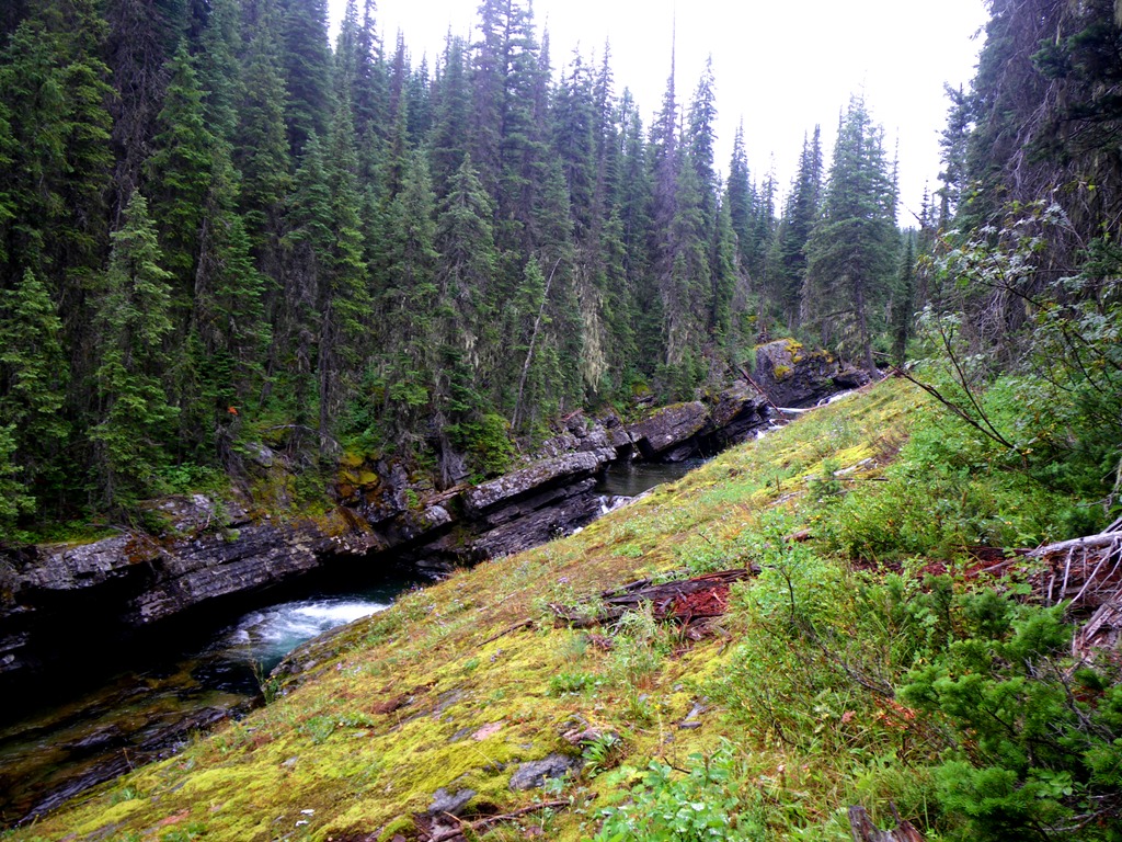 Big Salmon Creek