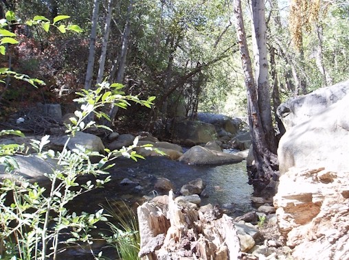 First view of the creek.