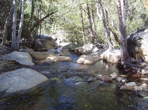 Kern River Feeder Stream