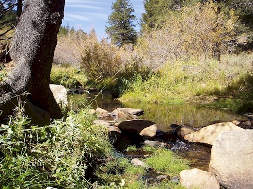 Meadow Trib to the SF Kern