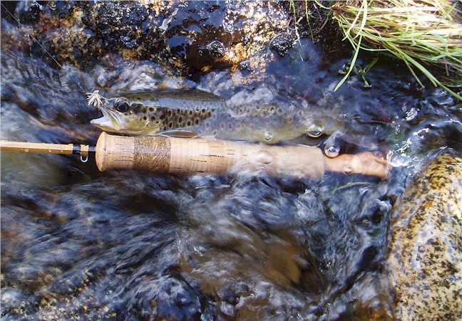 Payne 97 and Yosemite Brown Trout