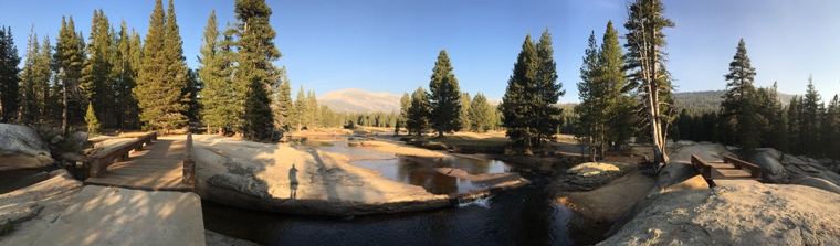 Bridges over the Lyell Fork