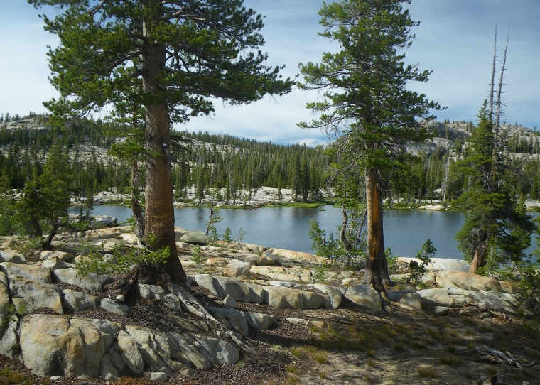 Camp at Deer Lake. My bear canister is under the tree on the far left.