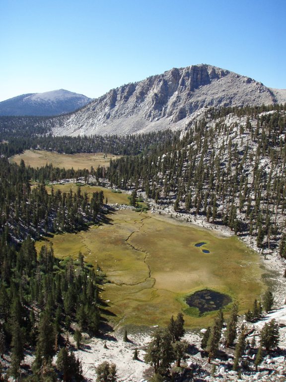Looking down on Cottonwood Creek.