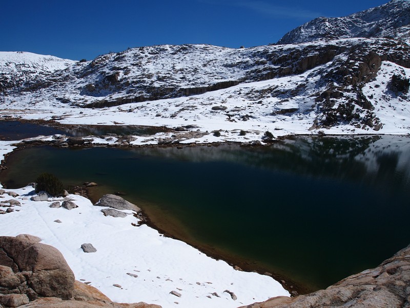 Blue Green Golden Trout Lake