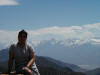 View from the oldest forest in the world.