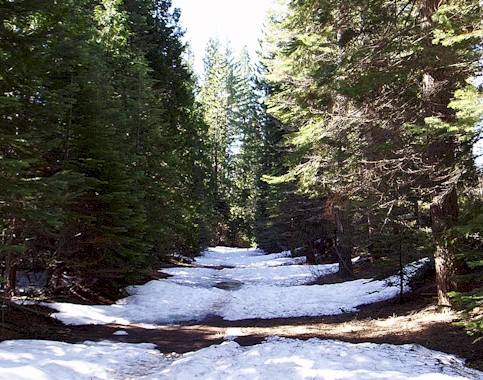 Snowed in Trailhead.