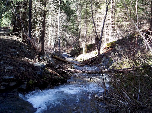 First Stream Crossing