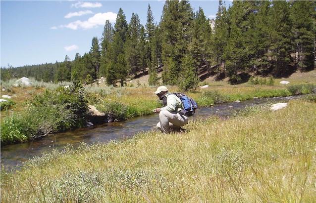 Fishing my new favorite run on the Dana Fork.